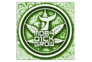 Moby-Dick-Grow-Shop-Providencia