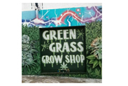 Green-Grass-Grow-Shop