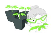 La-Abuela-Maria-Grow-Shop