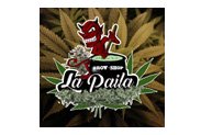 lapailanacimiento_grow_shop