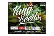 king-seeds_grow_shop