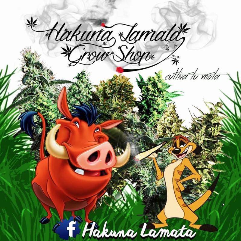 hakunalamata_grow_shop