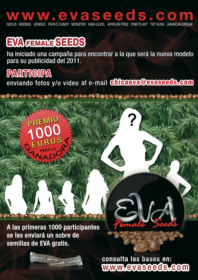 chica eva 2011