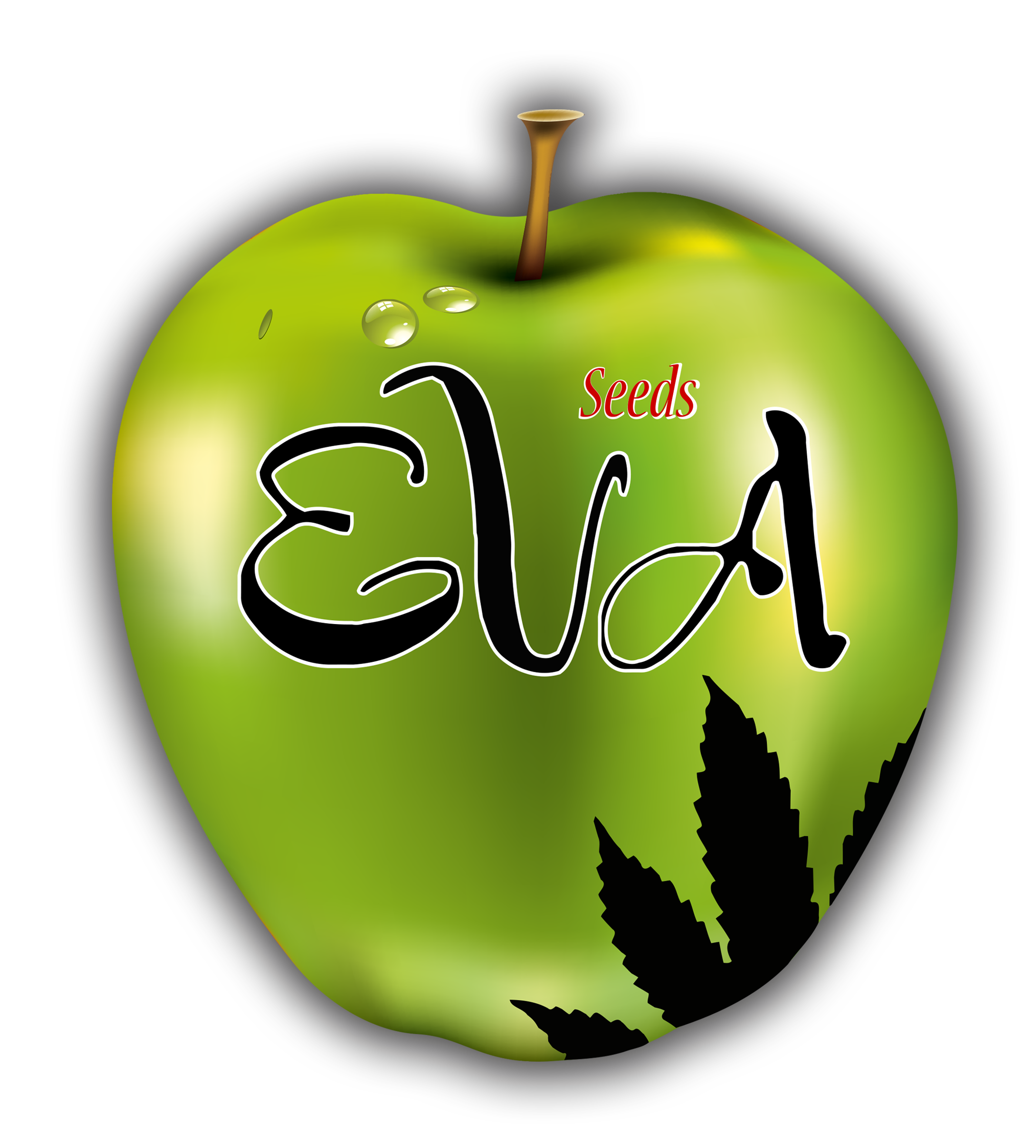 Graines de marijuana Eva Seeds