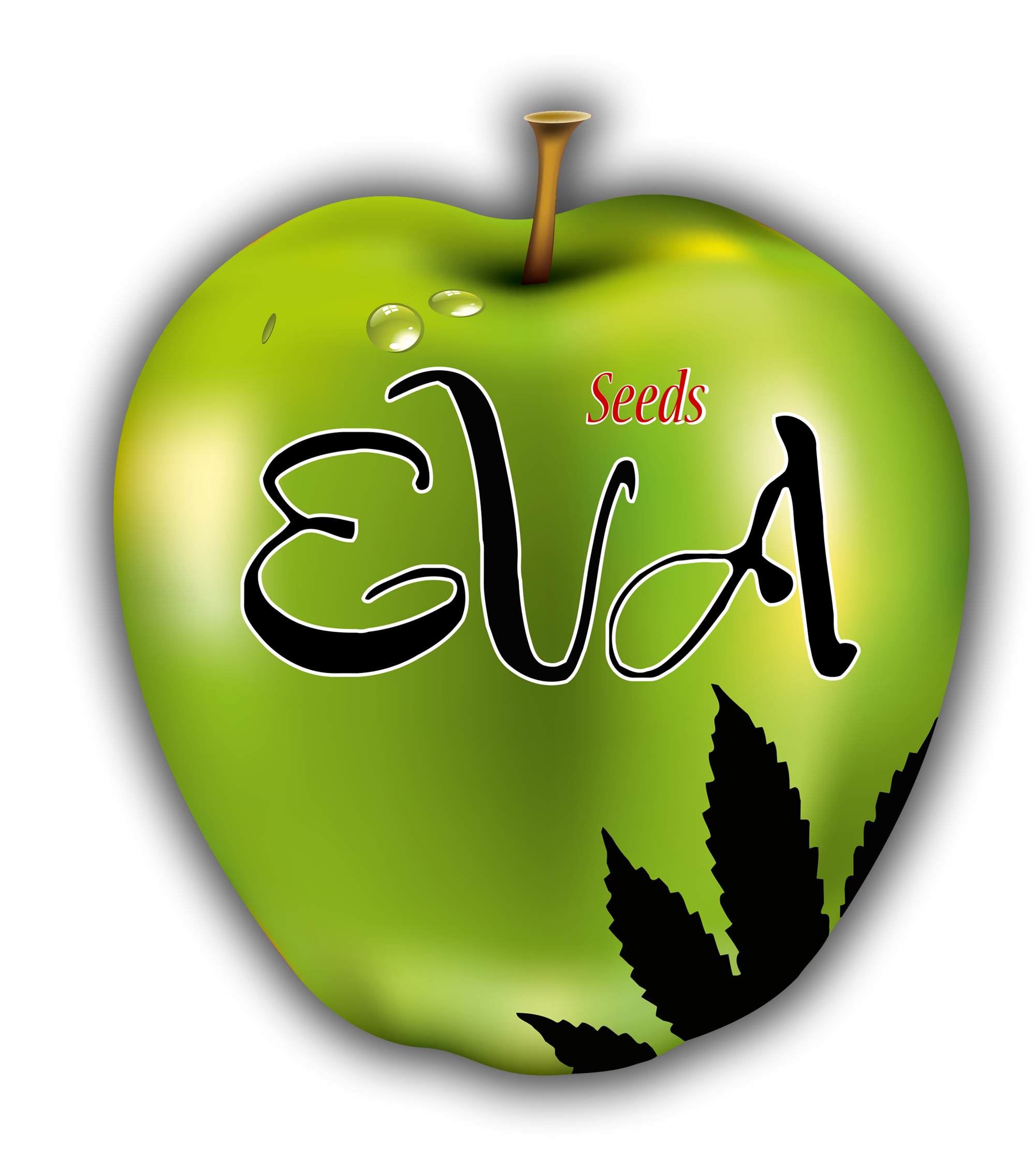 Eva Seeds, high quality marijuana seeds - Eva Seeds